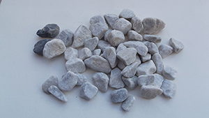 item 19